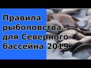 Закон о рыболовстве 2019 в карелии выгозеро