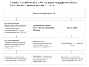 Как оформить на работу гражданина киргизии в 2019 году документы