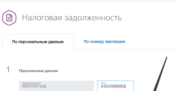 Узнать за что задолженность по уин