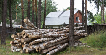 Как выписать лес на ремонт дома бесплатно