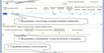 Отчеты по кадастру отходов