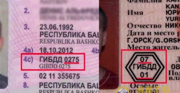 Кем выданы водительские права где посмотреть