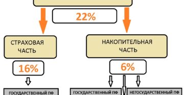 Как узнать отчисления в пфр работодателем