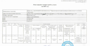 План закупок на 2019 2021 год по 223 фз